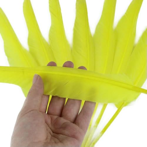 Bunte 50 Stück natürliche Gänsefedern 25–35 cm Federn Hochzeit Handarbeit Dekor Feder zum Basteln DIY Schmuckherstellung-Gelb von GVEKJ