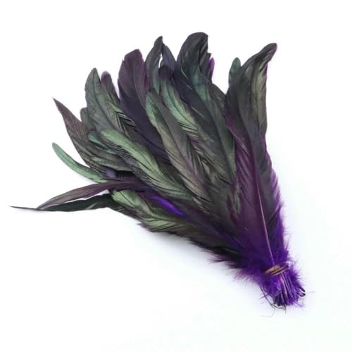 Dunkelgrüne Hahnenschwanzfedern für Karnevalskopfschmuck, Partykleidung, Kopfbedeckung, Dekorationszubehör, Fasanenfedern, 100 Stück, Dunkelviolett, 25–30 cm, 100 Stück Dunkelgrüne Hahnenschwanzfedern für Karnevalskopfschmuck, Partykleidung, Kopfbedeckung, Dekorationszubehör, Fasanenfedern, 100 Stück, Dunkelviolett, 25–30 cm, 100 Stück von GVEKJ