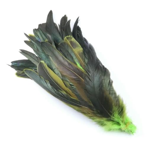 Dunkelgrüne Hahnenschwanzfedern für Karnevalskopfschmuck, Partykleidung, Kopfbedeckung, Dekorationszubehör, Fasanenfedern, 100 Stück, Grün, 25–30 cm, 100 Stück Dunkelgrüne Hahnenschwanzfedern für Karnevalskopfschmuck, Partykleidung, Kopfbedeckung, Dekorationszubehör, Fasanenfedern, 100 Stück, Grün, 25–30 cm, 100 Stück von GVEKJ