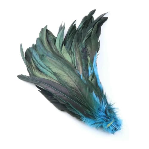 Dunkelgrüne Hahnenschwanzfedern für Karnevalskopfschmuck, Partykleidung, Kopfbedeckung, Dekorationszubehör, Fasanenfedern, 100 Stück, Seeblau, 30–35 cm, 100 Stück Dunkelgrüne Hahnenschwanzfedern für Karnevalskopfschmuck, Partykleidung, Kopfbedeckung, Dekorationszubehör, Fasanenfedern, 100 Stück, Seeblau, 30–35 cm, 100 Stück von GVEKJ