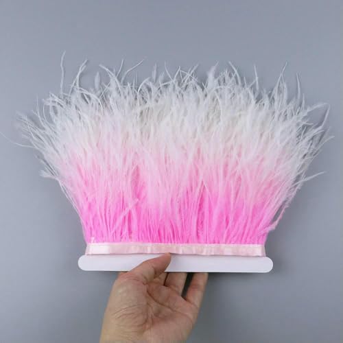 Farbverlaufs-Straußenfederband mit gemischten Farben, natürliche rosa Federbesatz, 10–15 cm, Kleidung, Partykleid, Zubehör zum Basteln, 2–10–15 cm von GVEKJ