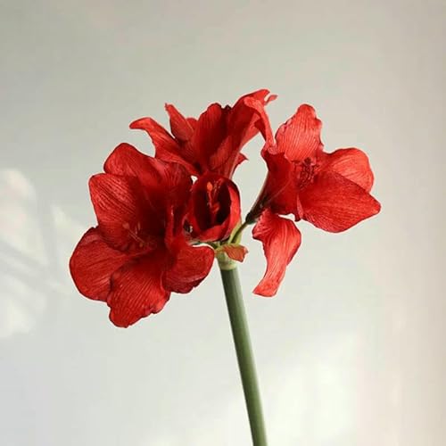 GVEKJ Einzelner Zweig Simulation Clivia Miniata Künstliche Seidenblumen Zimmer Tischdekoration Hochzeit Hintergrund Layout Blume-D 1 STÜCK GVEKJ Einzelner Zweig Simulation Clivia Miniata Künstliche Seidenblumen Zimmer Tischdekoration Hochzeit Hintergrund Layout Blume-D 1 STÜCK von GVEKJ