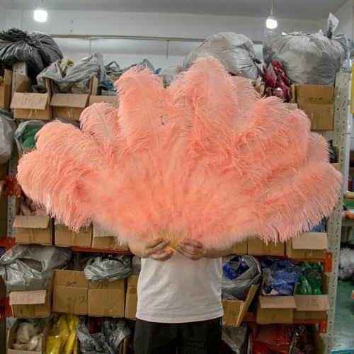 Gelbe große Straußenfederfächer, flauschiger Performance-Tanz-Handfächer, faltbar, verschiedene Stile, Party-Requisiten, Bühnenshow-Requisiten, Fächer, Garnelenrosa, 100 cm, 130 cm, 2 Stück Gelbe große Straußenfederfächer, flauschiger Performance-Tanz-Handfächer, faltbar, verschiedene Stile, Party-Requisiten, Bühnenshow-Requisiten, Fächer, Garnelenrosa, 100 cm, 130 cm, 2 Stück von GVEKJ