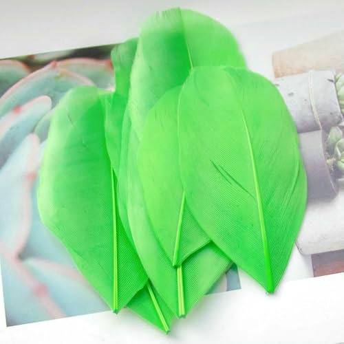 Großhandel Gänsefedern, mehrfarbig, für Karneval, Party, Basteln, Kostüm, Kopfschmuck, Dekoration, Schmuck, DIY-Zubehör, Traumfänger, grün, 50 Stück von GVEKJ