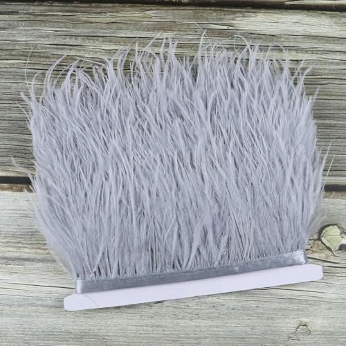 Meter flauschige Straußenfeder-Fransenbesatz, 7,6–10,2 cm, weißes Naturfederband, Hochzeitsfeier, Kleidung, Nähen, dekorative Federn, Silber, 1 m Meter flauschige Straußenfeder-Fransenbesatz, 7,6–10,2 cm, weißes Naturfederband, Hochzeitsfeier, Kleidung, Nähen, dekorative Federn, Silber, 1 m von GVEKJ