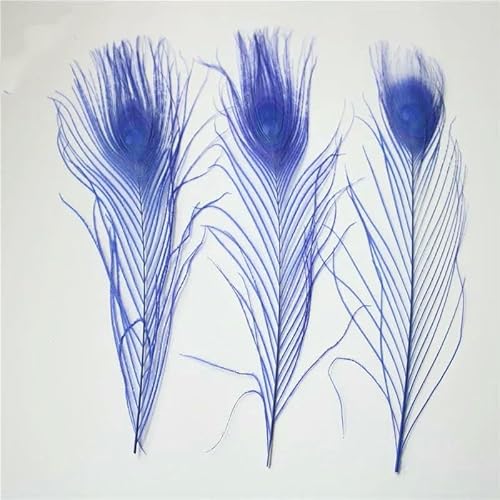 Pfauenfedern, 10 Stück/Los, Länge 25–30 cm, schöne natürliche Pfauenfeder, DIY-Schmuck, dekorative Deko-Beschläge, Blau Pfauenfedern, 10 Stück/Los, Länge 25–30 cm, schöne natürliche Pfauenfeder, DIY-Schmuck, dekorative Deko-Beschläge, Blau von GVEKJ