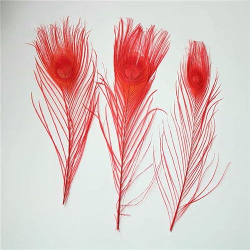 Pfauenfedern, 10 Stück/Los, Länge 25–30 cm, schöne natürliche Pfauenfeder, DIY-Schmuck, dekorative Deko-Beschläge, Rot Pfauenfedern, 10 Stück/Los, Länge 25–30 cm, schöne natürliche Pfauenfeder, DIY-Schmuck, dekorative Deko-Beschläge, Rot von GVEKJ