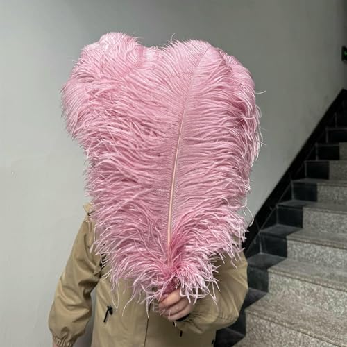 Rosa Straußenfedern für Karnevalspartys, Bastelarbeiten, dekorative Federherstellung, Hochzeitstisch, Vase, Zubehör, 10 Stück/Los-Rouge Pink-50–55 cm, 20–22 Zoll Rosa Straußenfedern für Karnevalspartys, Bastelarbeiten, dekorative Federherstellung, Hochzeitstisch, Vase, Zubehör, 10 Stück/Los-Rouge Pink-50–55 cm, 20–22 Zoll von GVEKJ