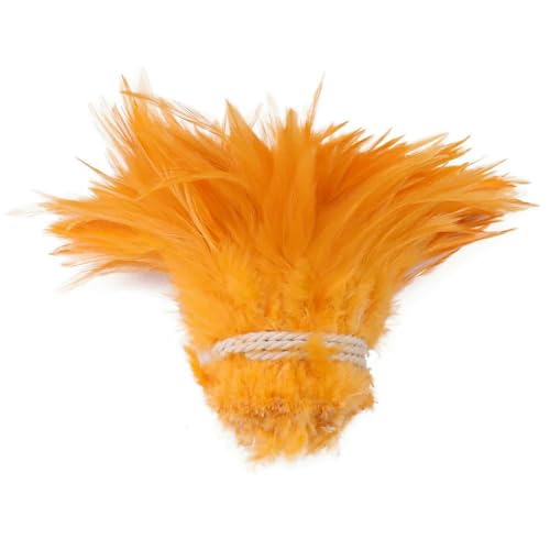 bundel van ongeveer 800-1000 stuks witte en zwarte fazantenveren voor knutselwerkjes, hanenveren, doe-het-zelf sieraden, dromenvanger, oorbeldecoratie - oranje bundel van ongeveer 800-1000 stuks witte en zwarte fazantenveren voor knutselwerkjes, hanenveren, doe-het-zelf sieraden, dromenvanger, oorbeldecoratie - oranje von GVEKJ