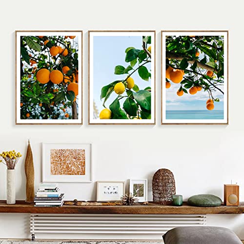 Kunstdruck Skandinavischer Stil, Wanddekoration, Orangen, Zitrone, Poster, Leinwand, Malerei, Obst, Pflanze, Wandkunst, Bild Für Wohnzimmer, Nordische Dekoration 40x50cm von GVOZI