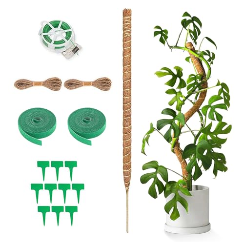 120 cm Moosstab für Monstera Moosstangen Set：Biegbare Monstera Rankhilfe DIY Form Stab Pflanzstab Moosstab Erweiterbar | für Moosstab Monstera Kletterpflanzen die Nach Oben Wachsen von GWAEPU