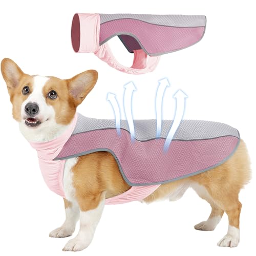 GWAWG Kühlweste Hund, Sonnenschutz für Hunde Kleine/Mittlere/Große, an Denen Sich im Sommer Eine Luftzufuhr der Netzhaube Eignet und die es Angenehm Macht, den Sicherheitsgurt Anzulegen von GWAWG