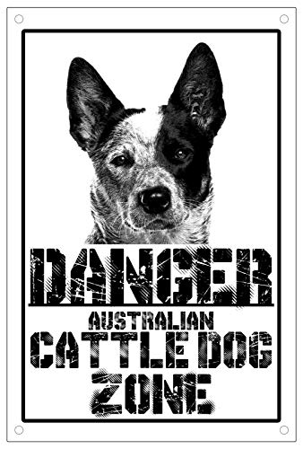 Vintage Danger Australian Cattle Dog Zone Teller Schild Metall Blechschild 20,3 x 30,5 cm Retro Home Kitchen Outdoor Garten Wanddekoration von GWEAR