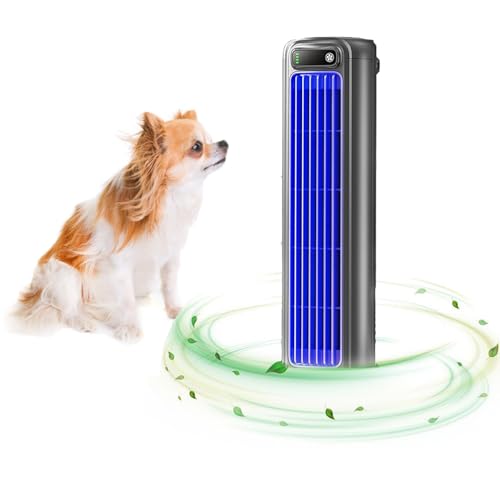 Liketonline Cooling Ace, Briza Ac, Brizaac, Coldeez Cooling Ace Mit 3 Geschwindigkeit, Leiser Desktop-Turmventilator, 3d UmwäLzung Wind LuftküHler FüR Schlafzimmer BüRo (Grey) von GXHNB