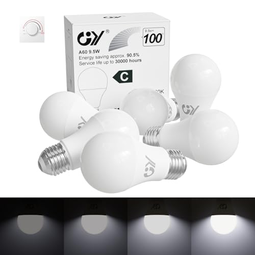 GY E27 LED Kaltweiss Dimmbar Glühbirne, 9,5W 6500K 1521 Lumen Kaltweiß Lampe, 100W Halogen Leuchtmittel ersetzt, Dimmbare Energiesparlampen, 6 stück von GY