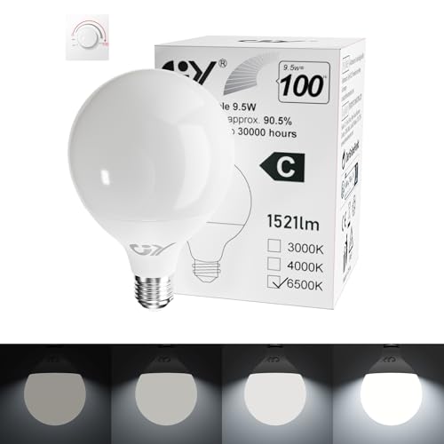 GY E27 LED Kaltweiss Dimmbar Glühbirne, G95 9,5W 6500K 1521 Lumen Kaltweiß Globe Lampe, 100W Halogen Leuchtmittel ersetzt, Dimmbare Energiesparlampen, 1 stück von GY