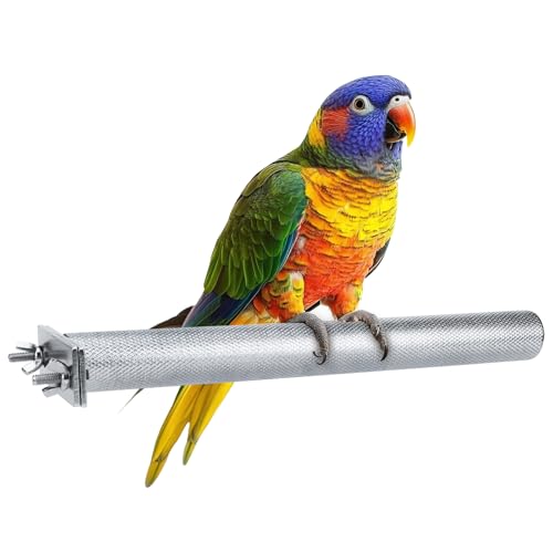 Papageien-Sitzstange aus Edelstahl, robust, rostbeständig, für kleine bis große Vögel, leicht zu reinigen, sicheres Käfigzubehör (30 x 3 cm) von GYJZZW