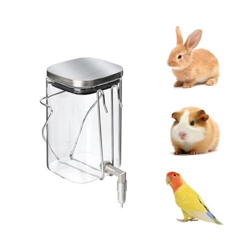 Premium Edelstahl & Glas Haustier Wasserflasche – Feuerstift tropffreier Spender für Kaninchen/Papageien/Nagetiere | 3 Größen Optionen mit Universal-Käfighalterung (600 ml) von GYJZZW