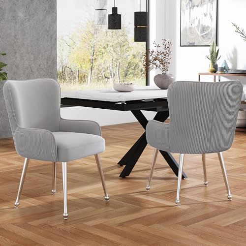 GYNGTLC Samt-Esszimmerstuhl, Mit Armlehnen und verstellbaren Füßen, Lendenwirbelstütze,Geeignet für Esszimmer, Wohnzimmer, Arbeitszimmer (Grau+Silber-2er-Set) von GYNGTLC