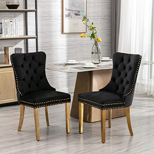 High-end Tufted Solid Wood Contemporary ，Furniture,Nikki Collection Modern, Velvet Upholstered Dining Chair with Golden Stainless Steel Plating Legs,Nailhead Trim,Set of 2, Black and Gold von GYNGTLC