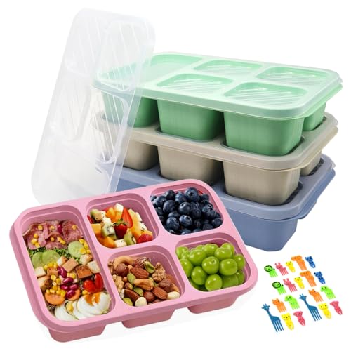 GYSRXS 4 Stück Bento Snack Box 5 Fächern Bento Lunch Box Kinder Snackbehälter mit Transparenter Deckel und 20×Obstgabel Bento Lunchbox für Schule,Arbeit(Beige/Blau/Rosa/Grün) von GYSRXS