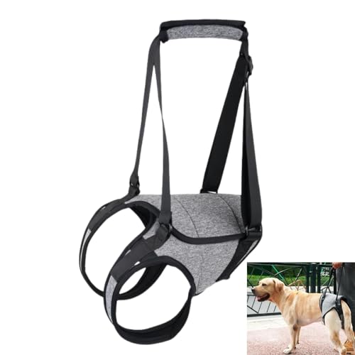 GYWHOOFT XL Hundegeschirr für große Hunde,Unterstützung und Recovery Sling, 26–40 kg, Hebegeschirr für Hinterbeine, zur Rehabilitation der hinteren Gliedmaßen älterer Hunde von GYWHOOFT