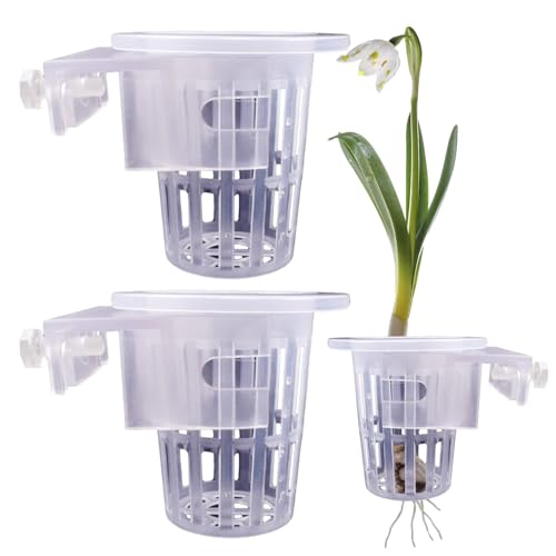 GZBMEZS Wasserpflanzentopf - Wasserpflanzenhalter, Aquarienbecher | Aquarium-Blumentopf mit Löchern, transparenter Aquarium-Pothos-Halter für den Anbau von Wasserpflanzen, Wasserspiel-Dekoration GZBMEZS Wasserpflanzentopf - Wasserpflanzenhalter, Aquarienbecher | Aquarium-Blumentopf mit Löchern, transparenter Aquarium-Pothos-Halter für den Anbau von Wasserpflanzen, Wasserspiel-Dekoration von GZBMEZS