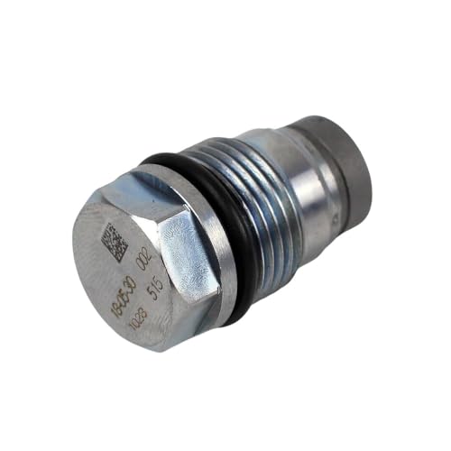 Pressure Relief Valve 1110010028/1 110 010 028 for 04.5-10 LLY LBZ LMM 6.6L Duramax von GZCHUMU