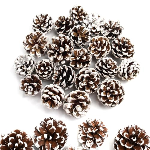 GZGXKJ 32 Stück Mini Weihnachten Tannenzapfen Natürliche Kiefernzapfen 3-4cm Dekoration Pinienzapfen Geeignet für DIY Halloween Weihnachten Herbst Thanksgiving Winterdekoration GZGXKJ 32 Stück Mini Weihnachten Tannenzapfen Natürliche Kiefernzapfen 3-4cm Dekoration Pinienzapfen Geeignet für DIY Halloween Weihnachten Herbst Thanksgiving Winterdekoration von GZGXKJ