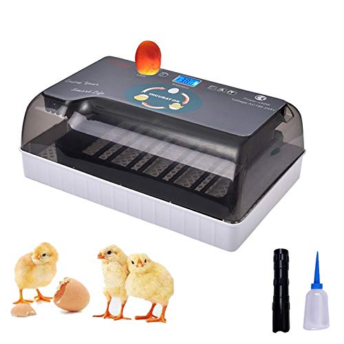 Inkubatoren für Geflügel Eier Vollautomatischer Eierbrutkasten Hühner ente Gans Geflügel Eierinkubator Intelligent Ultra-leiser automatischer Inkubator Automatische Inkubator Inkubator-Werkzeuge von GZWY