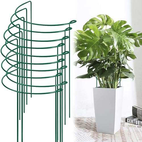 Pflanzenstütze aus Metall, 10 Stück Rankhilfe Staudenhalter, Halbrunde Garten Pflanzenhalter Blumenstütze Pflanzenstütze für Topfpflanzen, Tomaten, Gemüse, Rose, Pfingstrose (20 * 35cm) von GZWY