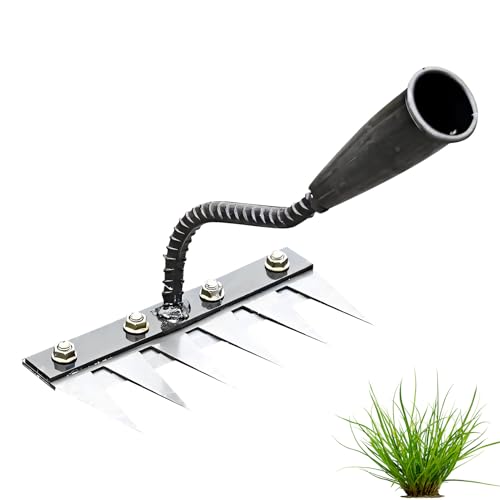 Unkrautrechen aus Karbonstahl, Unkraut Entferner Gerät, Mehrzweck Garten Unkraut Werkzeug, Eisenrechen für Gartenarbeit und Unkrautjäten, Gartenwerkzeug Unkrautrechen für Jäten/Lockern/Säen (6-Zähne) von GZWY