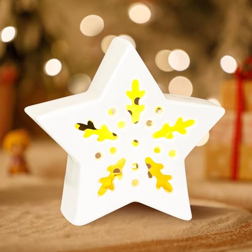 Weihnachtsdeko 2 Stück Weihnachten Stern mit LED Licht, Weihnachten Deko LED Sterne Weihnachtsbeleuchtung aus Keramik, Weihnachtsdeko Innen Beleuchtete Weihnachtsstern für Weihnachten Tischdeko (A) von GZWY