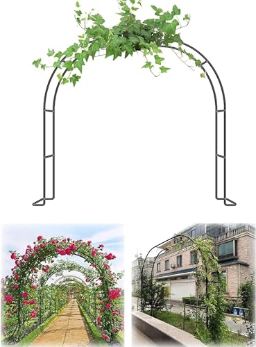 Arco Pergola für Kletterrosen, Gartenbogen für Kletterpflanzen, B 80–350 cm, H 220 cm, 230 cm, für Bauernhof und Garten, Hochzeit, Party (Farbe: Grün, Größe: B 260 x 220 cm (B x H) von GZYHDC