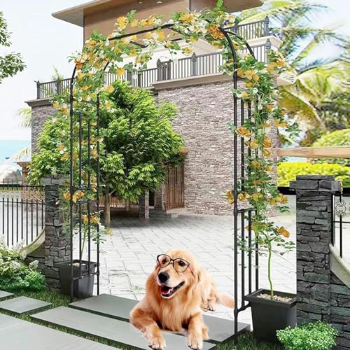 Metall Hochzeitsbogen Gartenbogen stabile röhrenförmige Pergola Garten Pergola Bogenstütze Kletterpflanzen Breite 120/150/180/200/210/220/230/240/250/280/300/320 cm (Maße 230x240 cm) von GZYHDC