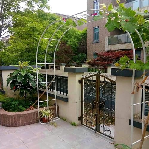 Rosenbogen für Kletterpflanzen Metall Gartenbögen Lärchenbogen 80-350cm für Hochzeit Party Garten (Color : Green, Size : 80x200cm) von GZYHDC