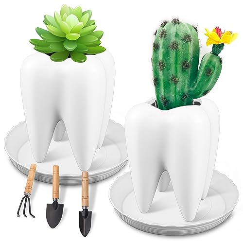 GZkedu 2 Stück Blumentöpfe, Keramik Blumentopf mit Untersetzer, Zähne Übertopf, mit 3 Mini Werkzeug, für Innen und Balkon Garten Pflanzen Sukkulenten Kaktus von GZkedu