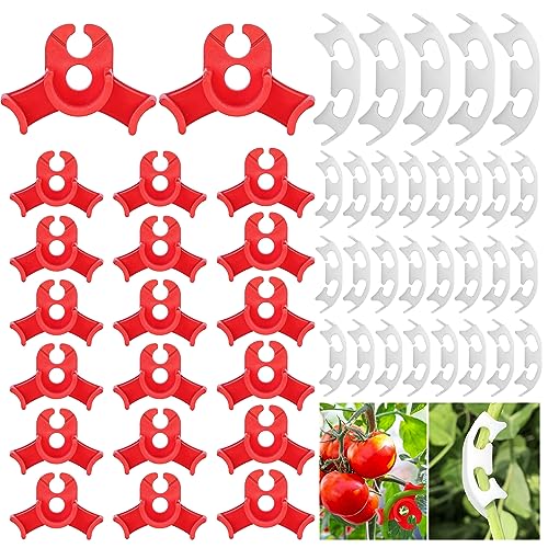 GZqiancang 120 STK Pflanzenclips, Kunststoff Plant Clips für Gemüse, Blumen, Gurkenreben, Sämlingen, Obstbäumen und Andere Kräuter(20 STK Rot/100 STK Weiß) von GZqiancang