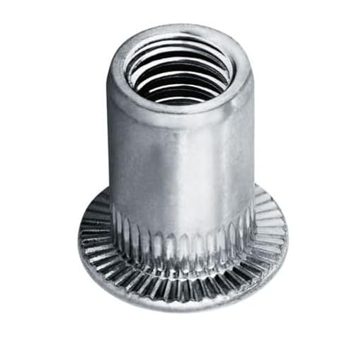 Flachkopf Blindnietmuttern alle Größen - Alu, Stahl-vz, Edelstahl A2 Nietmuttern (Edelstahl-A2 M10 Klemmbereich 3,0-6,0mm, 20 Stück) von Gabex