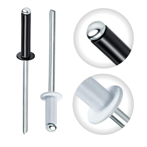 Gabex Blindnieten Bunt Farbig lackiert Popnieten Flachkopf Aluminium Stahl Schwarz Weiß (4,8 x 10 mm, 100 Stück, RAL9010 weiß) von Gabex
