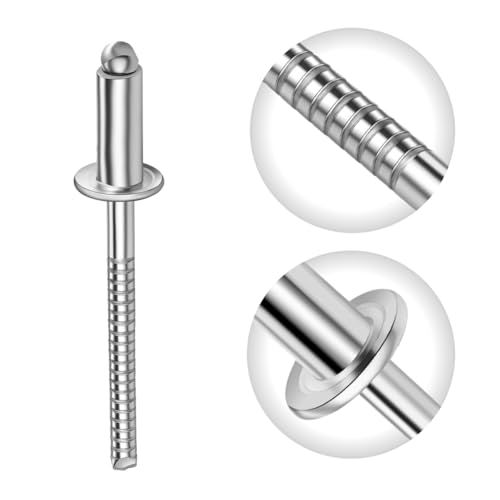 Gabex Flachkopf Blindnieten Edelstahl A2 Popnieten Größen 3,0-6,4 mm Ø gerillter Dorn (6,0 x 16 mm, 250 Stück) von Gabex