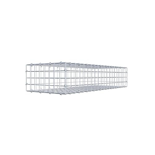 GABIONA Steinkorb-Gabione eckig, Maschenweite 5 x 5 cm, Tiefe 40 cm, Gabione 100 x 20 x 40 cm (L x H x T), C-Ring von Gabiona