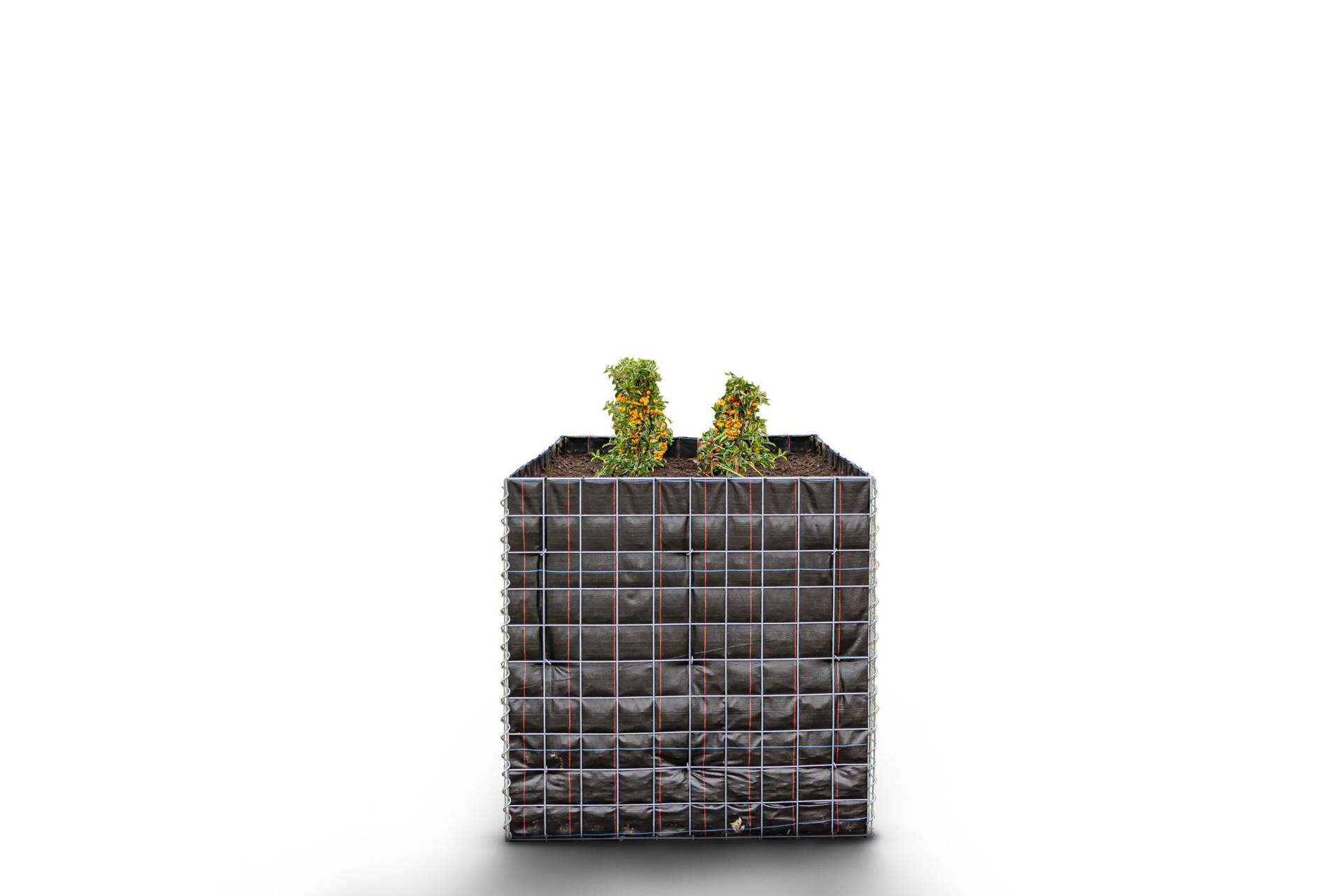 Hochbeet eckig ohne Steinbereich - Länge: 100 cm - Höhe: 100 cm - Tiefe: 70 cm - Maschenweite: 10 x 10 cm Hochbeet eckig ohne Steinbereich - Länge: 100 cm - Höhe: 100 cm - Tiefe: 70 cm - Maschenweite: 10 x 10 cm