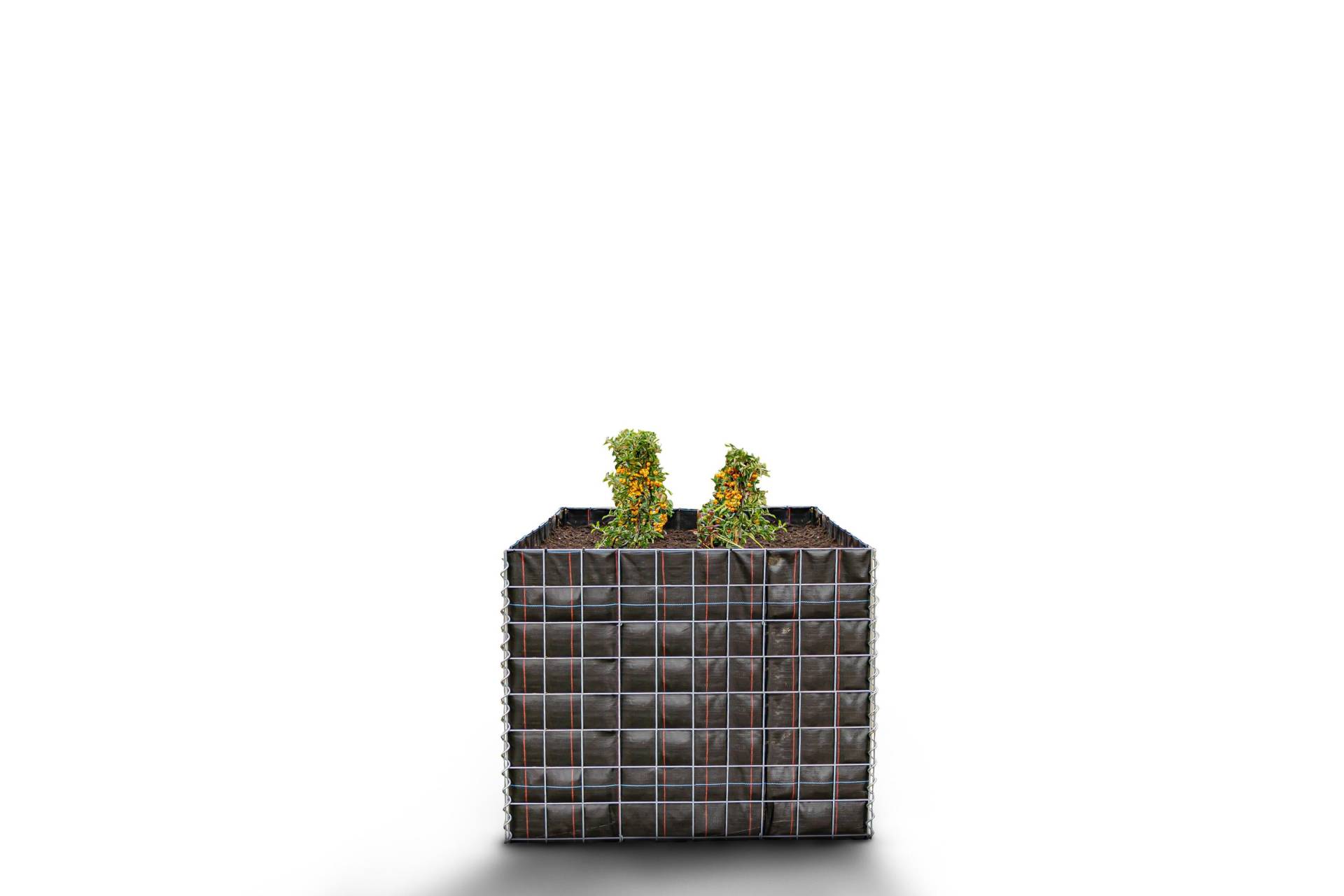 Hochbeet eckig ohne Steinbereich - Länge: 100 cm - Höhe: 80 cm - Tiefe: 100 cm - Maschenweite: 10 x 10 cm Hochbeet eckig ohne Steinbereich - Länge: 100 cm - Höhe: 80 cm - Tiefe: 100 cm - Maschenweite: 10 x 10 cm