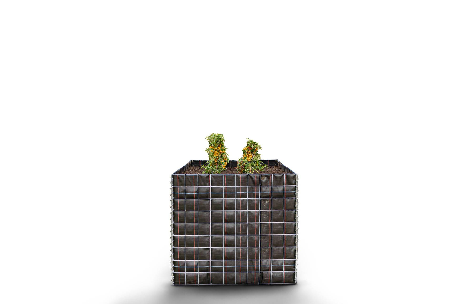 Hochbeet eckig ohne Steinbereich - Länge: 100 cm - Höhe: 90 cm - Tiefe: 100 cm - Maschenweite: 10 x 10 cm Hochbeet eckig ohne Steinbereich - Länge: 100 cm - Höhe: 90 cm - Tiefe: 100 cm - Maschenweite: 10 x 10 cm