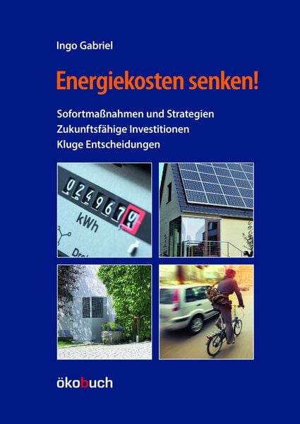 Gabriel, Ingo Energiekosten senken! von Gabriel, Ingo