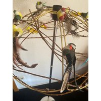Lampenschirm Vögel Vögelchen Wintergarten Natur Designer Paradiesvögel Design Geschenk Eklektisch Für Zuhause von GabrieleMast