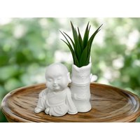 Kleiner Buddha "Blissful Bodhi" Sukkulenten Topf - Einzigartiger 3D Gedruckter Zen Luftpflanzenständer Ruhiges Housewarming Geschenk Für Freunde Kleiner Buddha "Blissful Bodhi" Sukkulenten Topf - Einzigartiger 3D Gedruckter Zen Luftpflanzenständer Ruhiges Housewarming Geschenk Für Freunde von Gadgetalicious