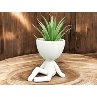 Sitzender Luftpflanzenhalter "Jerry". Luftpflanzentopf/Einzigartiges Geschenk. Schöne Zen Garten Dekoration Sitzender Luftpflanzenhalter "Jerry". Luftpflanzentopf/Einzigartiges Geschenk. Schöne Zen Garten Dekoration von Gadgetalicious