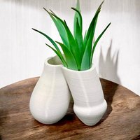 Willy Air Blumentopf - Lustiges Freches Wohndekor Humorvolles 3D Gedrucktes Airplant-Halter-Kollegen-Geschenk Willy Air Blumentopf - Lustiges Freches Wohndekor Humorvolles 3D Gedrucktes Airplant-Halter-Kollegen-Geschenk von Gadgetalicious